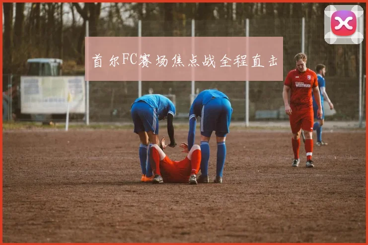 首尔FC赛场焦点战全程直击