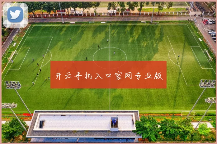 开云手机入口官网专业版