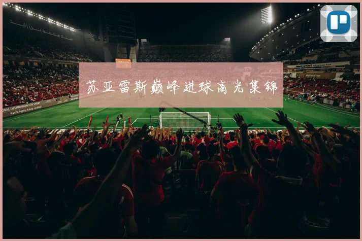 苏亚雷斯巅峰进球高光集锦