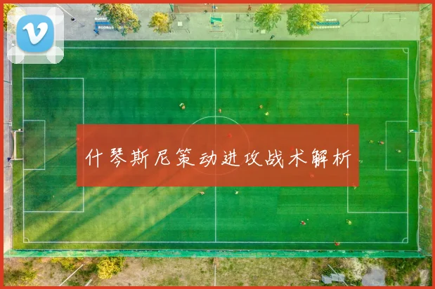 什琴斯尼策动进攻战术解析