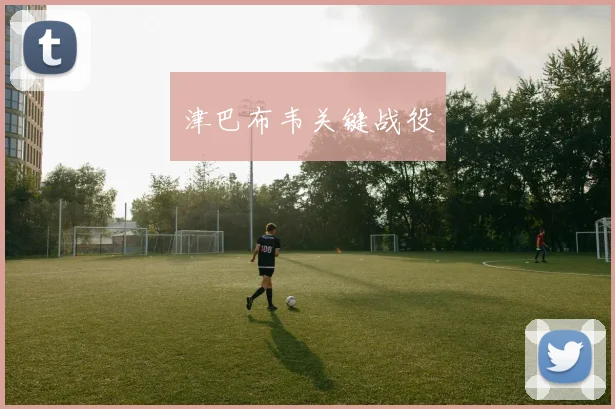 津巴布韦关键战役