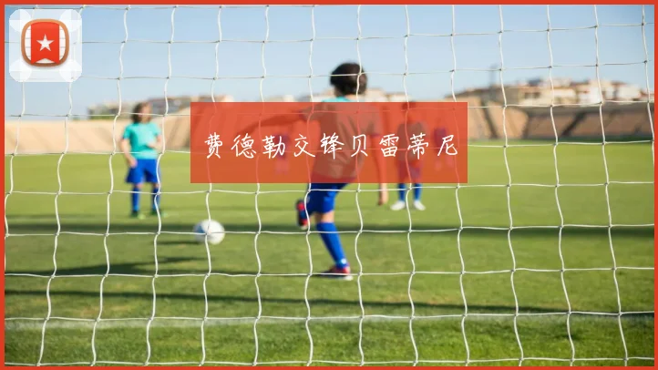 费德勒交锋贝雷蒂尼