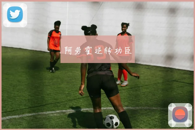 阿劳霍逆转功臣