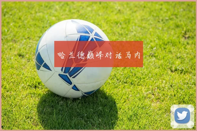 哈兰德巅峰对话马内