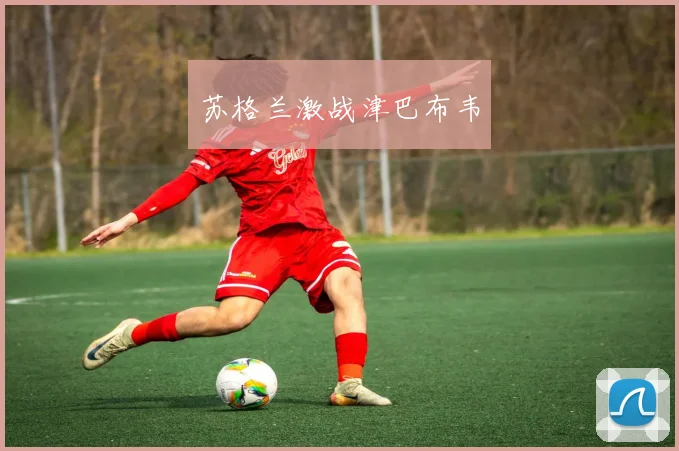 苏格兰激战津巴布韦