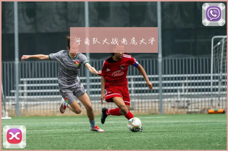 河南队大战老虎大学