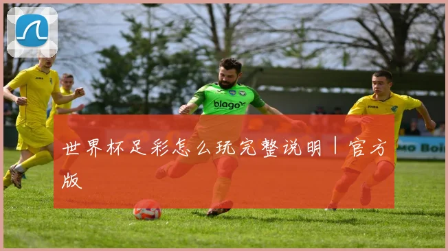 世界杯足彩怎么玩完整说明｜官方版