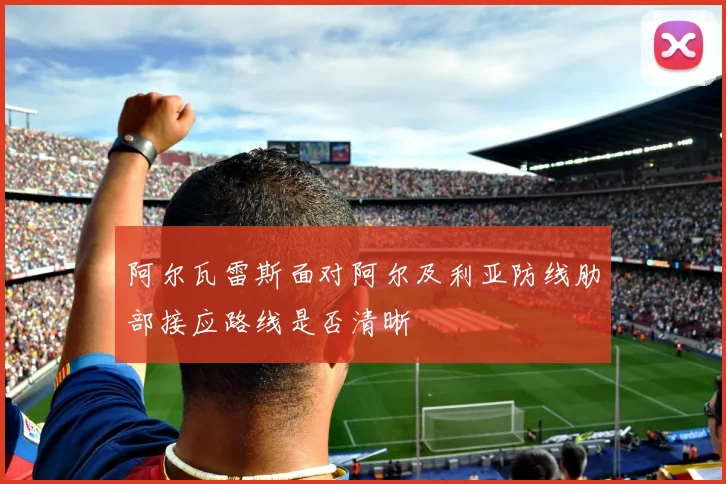 阿尔瓦雷斯面对阿尔及利亚防线肋部接应路线是否清晰