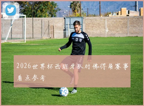 2026世界杯西班牙队对佛得角赛事看点参考
