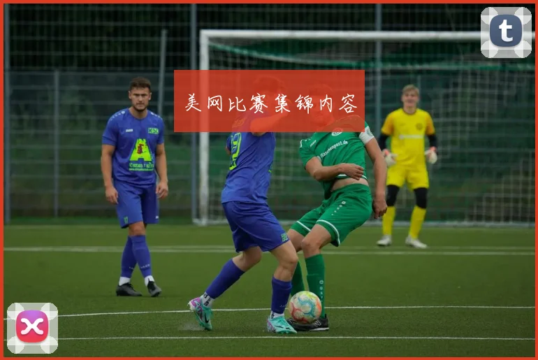 美网比赛集锦内容